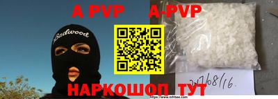 гашик Будённовск