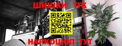 гашик Будённовск