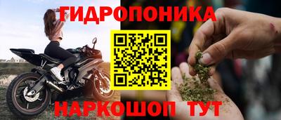 гашик Будённовск