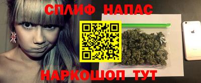 гашик Будённовск