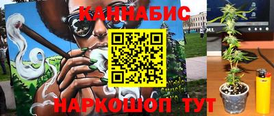 гашик Будённовск