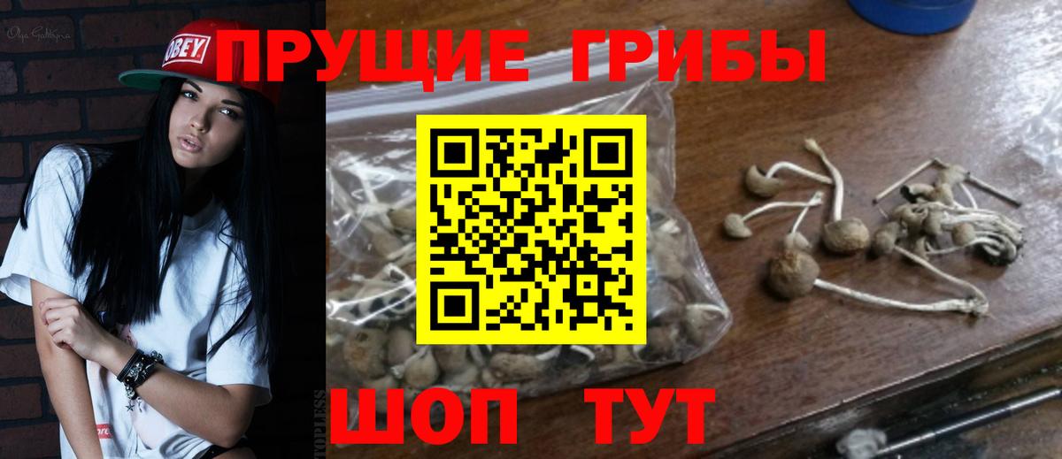 Псилоцибиновые грибы Cubensis  где купить наркотик  Краснокаменск  Псилоцибиновые грибы Psilocybe  Вход с VPN 